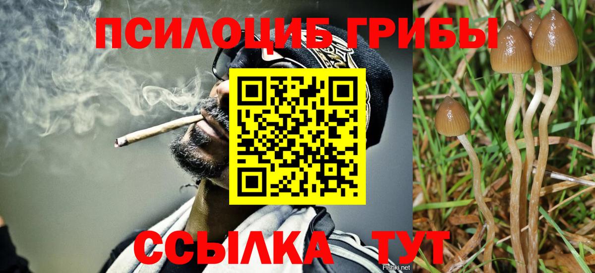 COCAIN Вышний Волочёк